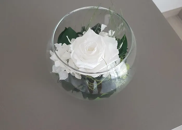 La Casetta Apartament